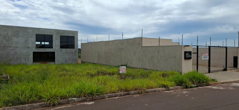 WhatsApp Image 2025-08-20 at 10.59.27