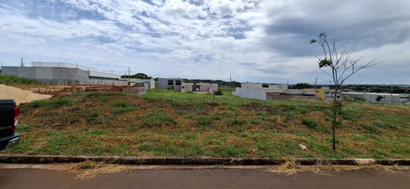 WhatsApp Image 2025-08-20 at 11.00.56 (1)