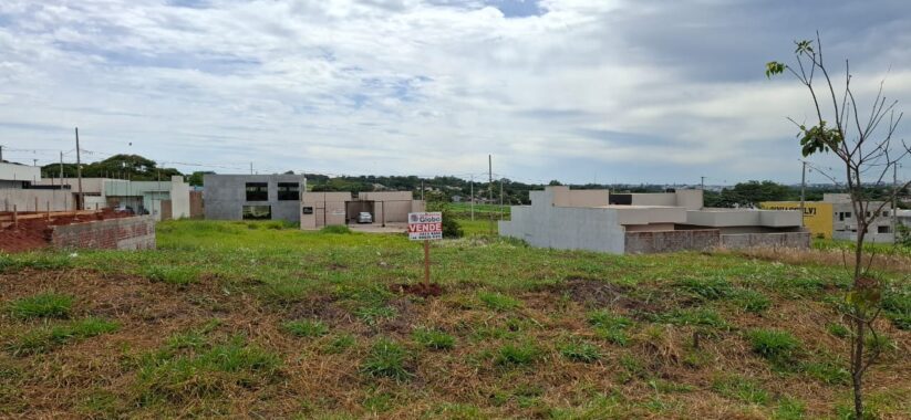 WhatsApp Image 2025-08-20 at 11.00.56